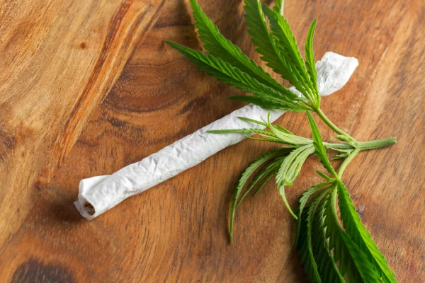 Rolling Paper Storage Hacks: Keep Your Papers Fresh in Humid Climates插图