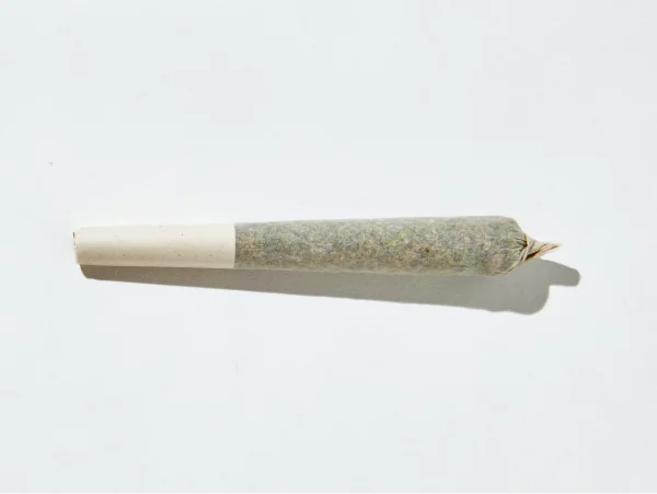 Why Some Countries Ban Flavored Rolling Papers插图